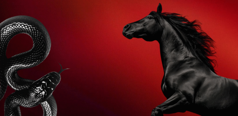 2026, The Year Of The Fire Horse: What It Asks Of You
