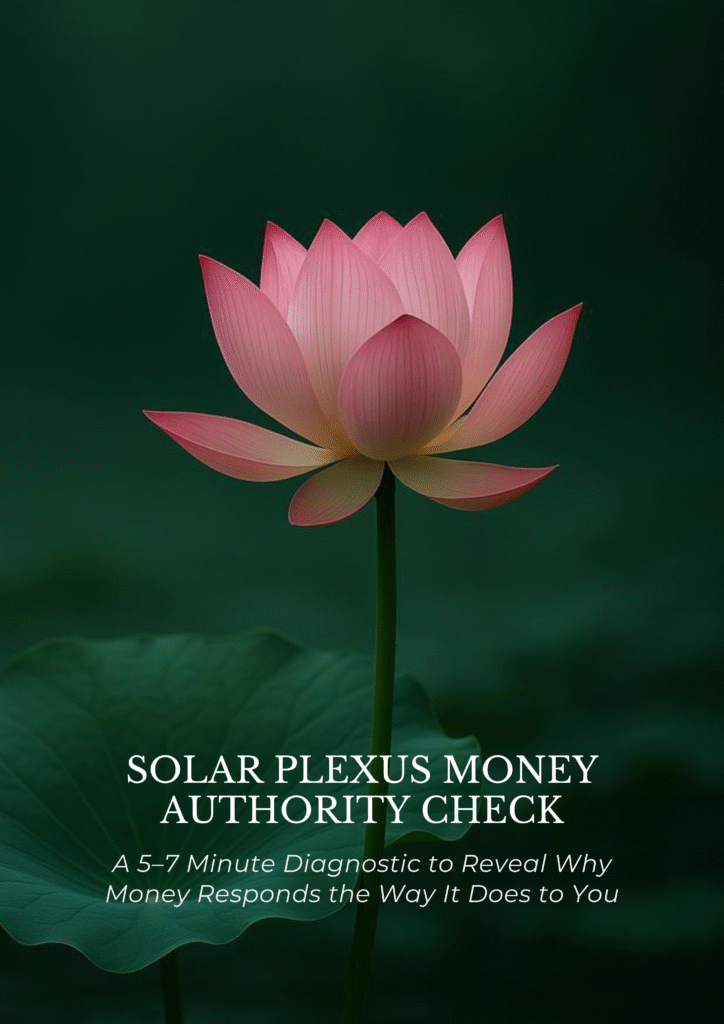 Solar Plexus Money Authority Check