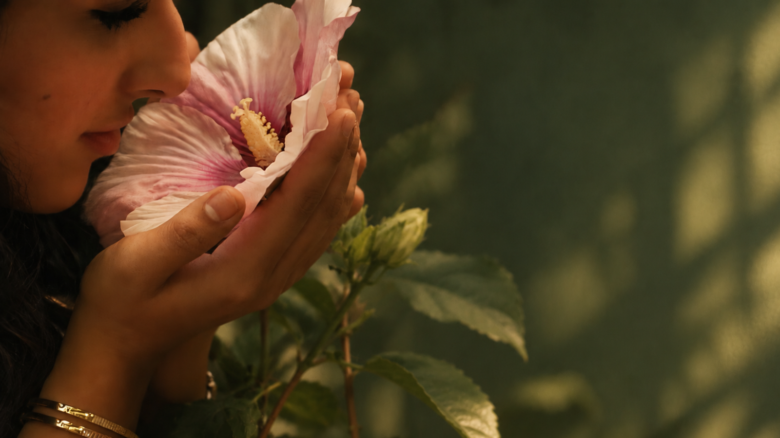 Heal & Return to self